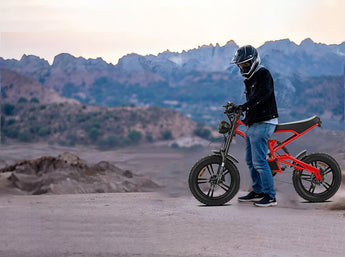 Fat Tire Electric Bike