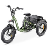 Hidoes ET1 Fat Tire Electric Tricycle