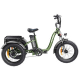 Hidoes ET1 Fat Tire Electric Tricycle