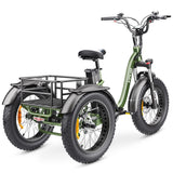 Hidoes ET1 Fat Tire Electric Tricycle
