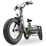 Hidoes ET1 Fat Tire Electric Tricycle