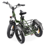 Hidoes ET1 Fat Tire Electric Tricycle