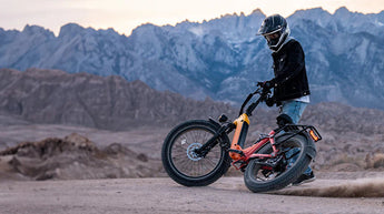 Fat Tire Electric Bike