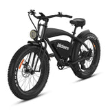 Hidoes_B3_Fat_tire_electric_bike_1200w_electric_bike_adults_26_inch_electric_bike
