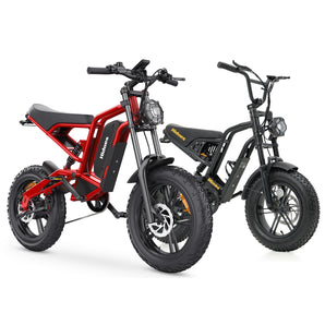 Hidoes B6 + B6 Mini Family Bundle – Save 5%