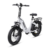Hidoes_BF1_Fat_tire_electric_bike_750w_electric_bike_adults_20_inch_electric_bike_Folding_Electric_bike