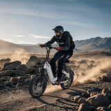 Hidoes_BF1_fat_tire_folding_electric_bike_adult