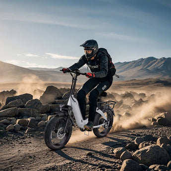 Hidoes_BF1_fat_tire_folding_electric_bike_adult