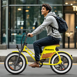 Hidoes® C8 Long Range Electric Bike for daily commute