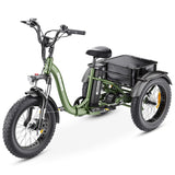 Hidoes ET1 Fat Tire Electric Tricycle