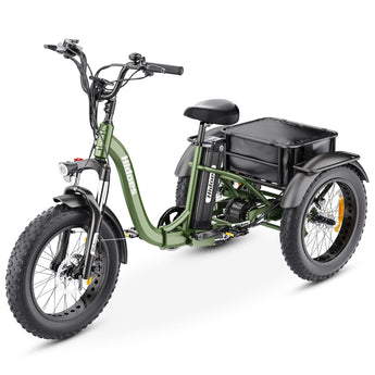 Hidoes ET1 Fat Tire Electric Tricycle