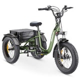 Hidoes ET1 Fat Tire Electric Tricycle