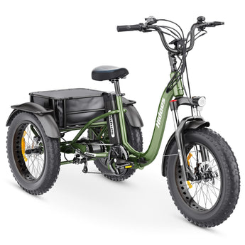 Hidoes ET1 Fat Tire Electric Tricycle