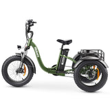 Hidoes ET1 Fat Tire Electric Tricycle