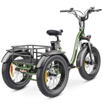 Hidoes ET1 Fat Tire Electric Tricycle
