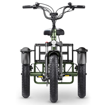 Hidoes ET1 Fat Tire Electric Tricycle
