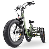 Hidoes ET1 Fat Tire Electric Tricycle