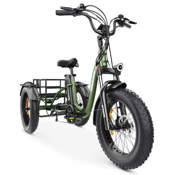 Hidoes ET1 Fat Tire Electric Tricycle